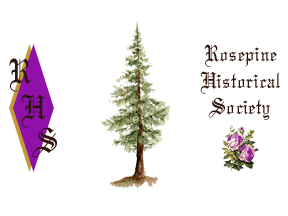 Rosepine Historical Society